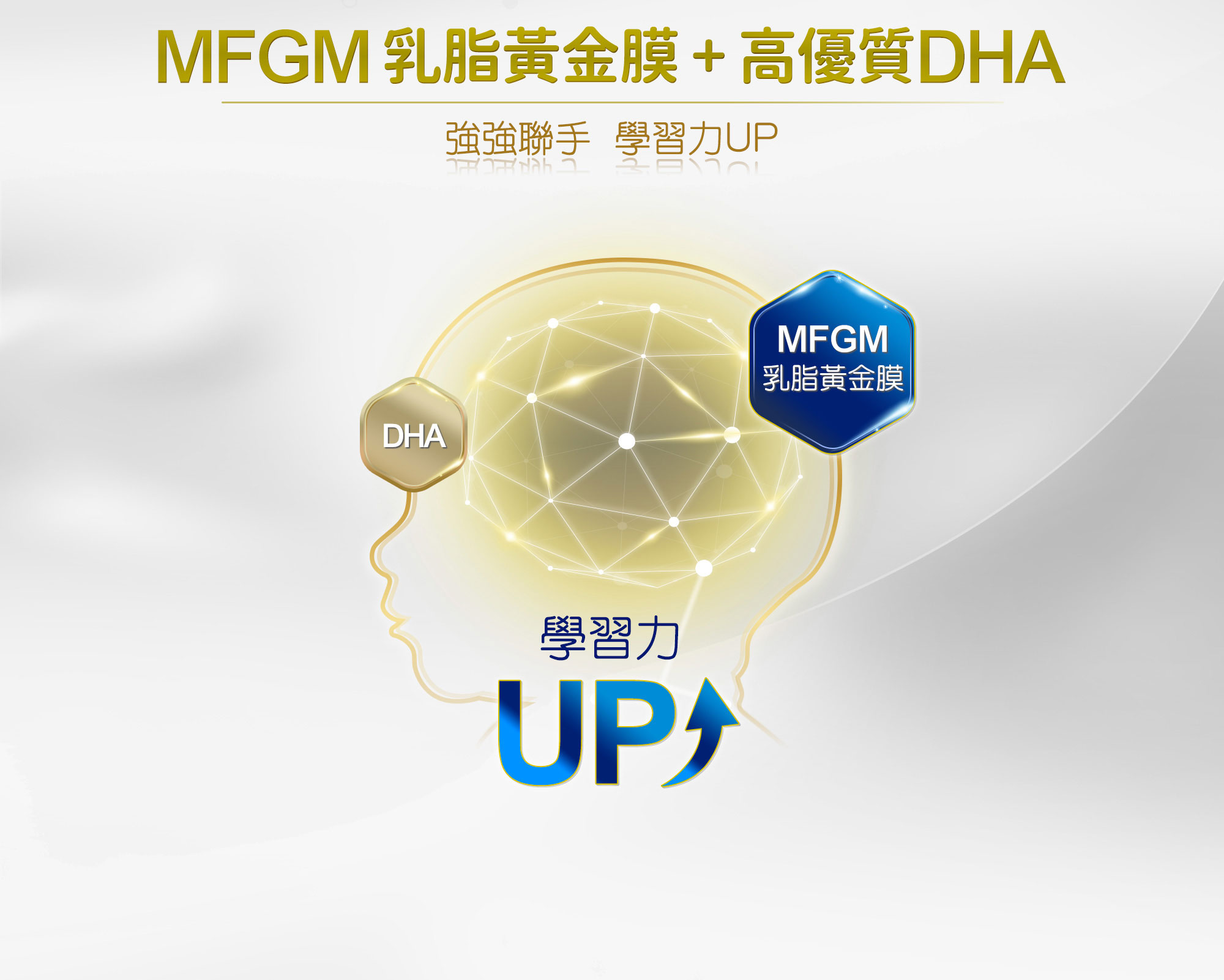 MFGM乳脂黃金膜+高優質DHA 強強聯手 學習力UP