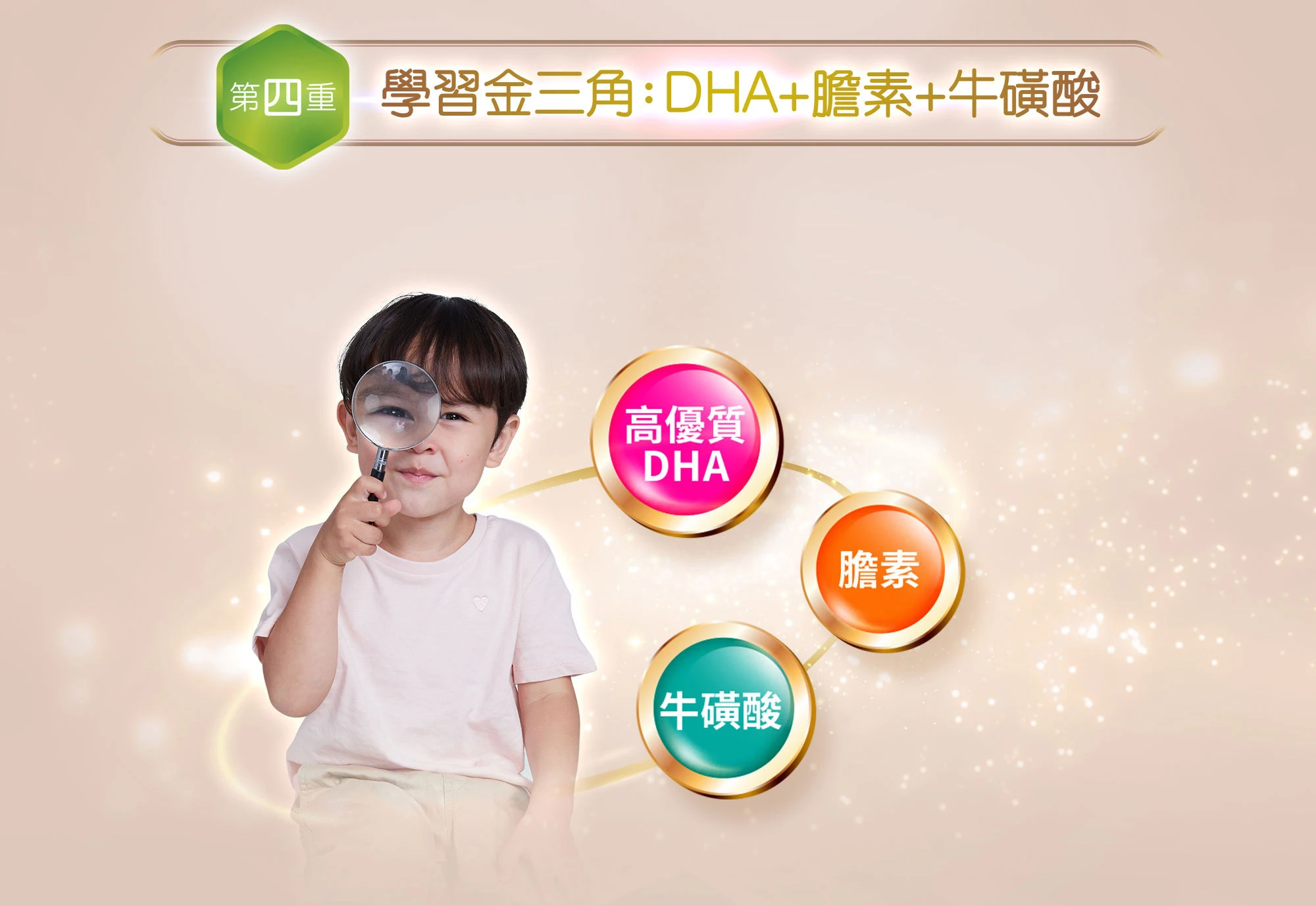 學習金三角:DHA+膽素+牛磺酸